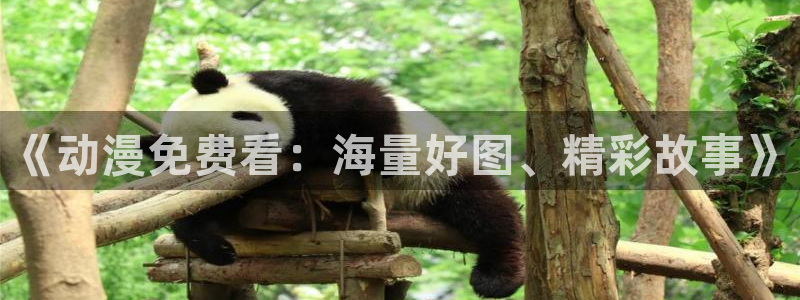 age动漫官网官方下载：《动漫免费看：海量好图、精彩故事》