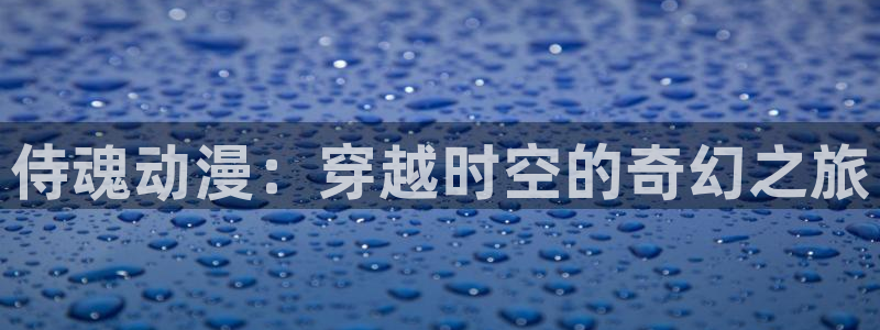 age动漫下载ios：侍魂动漫：穿越时空的奇幻之旅